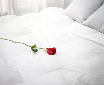 Couette de duvet de Canard canadien